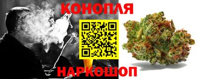 гидропоника Гатчина