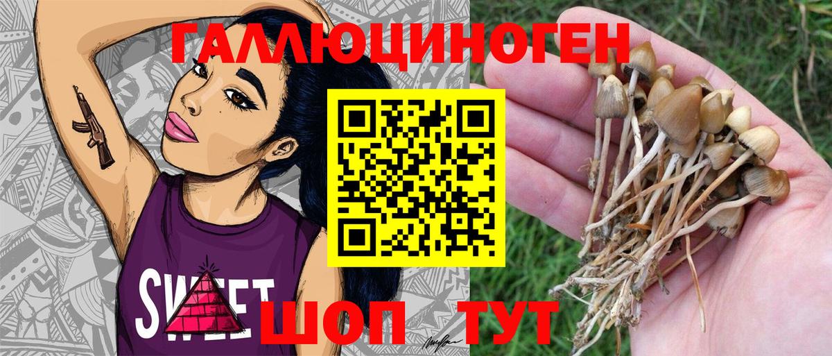 Псилоцибиновые грибы MAGIC MUSHROOMS Орёл