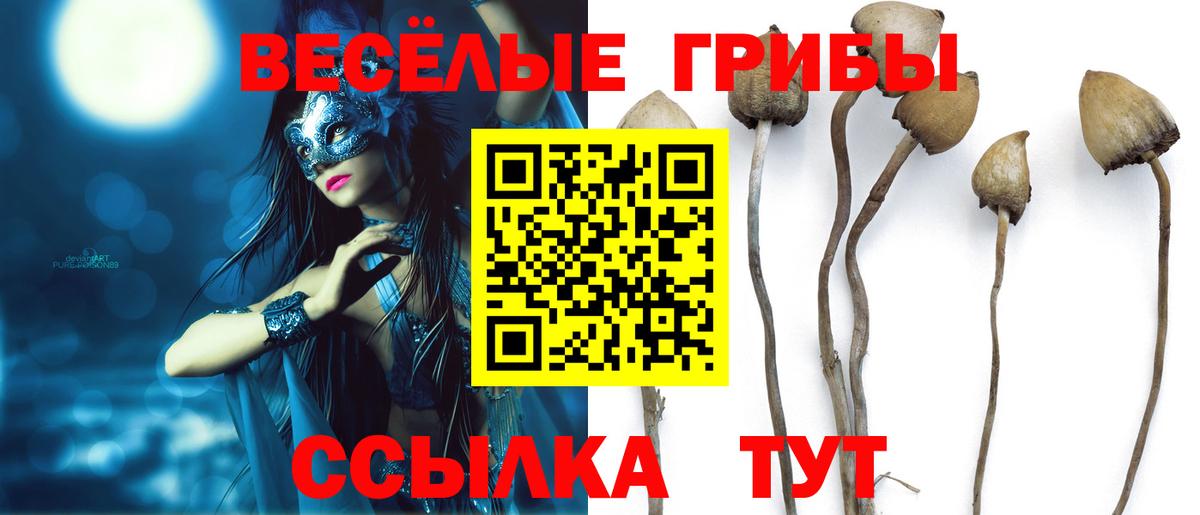 Галлюциногенные грибы MAGIC MUSHROOMS  Вход с VPN  даркнет сайт  Орёл 